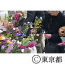 春季慰霊大法要 眞子内親王殿下ご臨席