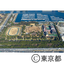 夢の島公園 アーチェリー会場予定地（空撮）