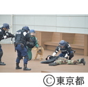 知事視察（東京国際空港国際線ターミナル）