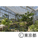 神代植物公園温室リニューアル