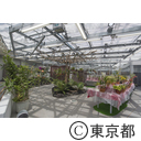 神代植物公園温室リニューアル