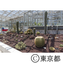 神代植物公園温室リニューアル