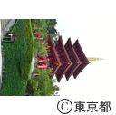 高幡不動の紫陽花
