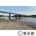 多摩川緑地くじら運動公園