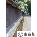 諏訪神社とその周辺（昭島市）