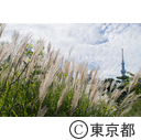 向島百花園