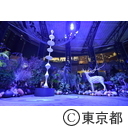 六本木アートナイト2016