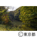 八王子市長池公園