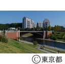 八王子市長池公園