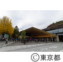 高尾山の紅葉