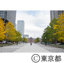 高尾山の紅葉