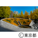 東京都慰霊堂平和祈念碑の花壇
