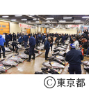 築地市場の初セリ（生マグロの初セリ）