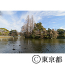 区立武蔵関公園