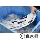 江戸伝統工芸「東京本染手ぬぐい」