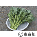 東京の農業 伝統野菜「のらぼう菜」