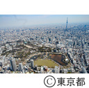上野恩賜公園と桜（空撮）