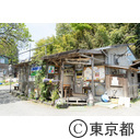 都市農業「礒沼ミルクファーム」