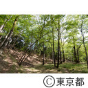 滝山城址公園