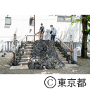 お富士さんの植木市