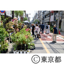 お富士さんの植木市