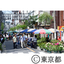 お富士さんの植木市