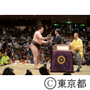 平成29年大相撲５月場所
