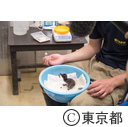 葛西臨海水族園「ペンギンの飼育員」