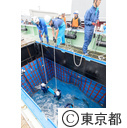 葛西臨海水族園「三崎港からマグロを搬送」