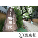 新井薬師梅照院