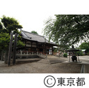 新井薬師梅照院