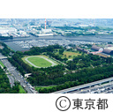 夢の島公園 アーチェリー会場予定地（空撮）