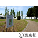 辰巳