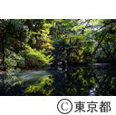 国立科学博物館附属自然教育園