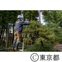 井の頭自然文化園施設係