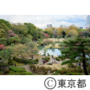 紅葉の六義園