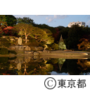 紅葉の六義園