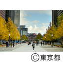 紅葉の行幸通り