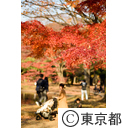 代々木公園紅葉