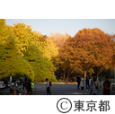 代々木公園紅葉