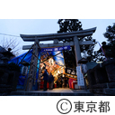 目黒鷲神社酉の市