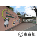 恩賜上野動物園パンダのシャンシャン初公開