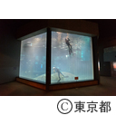葛西臨海水族園