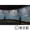 葛西臨海水族園