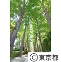 大田黒公園