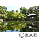 大田黒公園