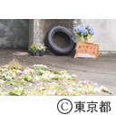 井の頭自然文化園 ぞうのはな子献花台