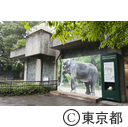 井の頭自然文化園 ぞうのはな子献花台
