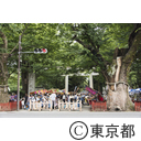 大國魂神社すもも祭