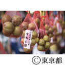 大國魂神社すもも祭